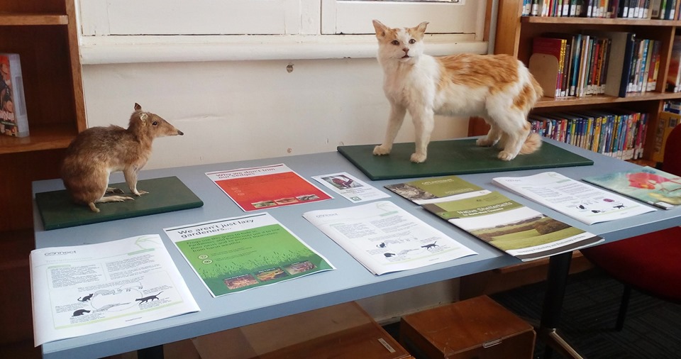 Cats and Native Wildlife Inspiring Tasmania