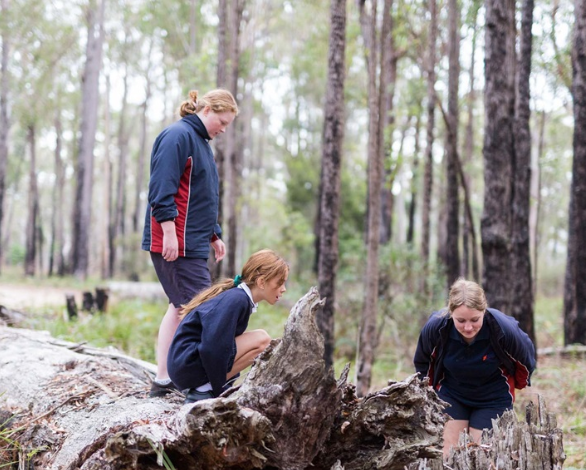 students in the forest investigating a dead log 