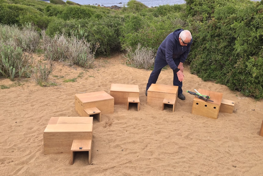  penguin nest boxes installed on the beach
