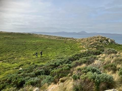 photo of a green island with hikers 